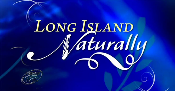 Dec 24, 2014: Northeast Natural Sales Founder Linda Stasiak featured on News12 : Long Island Naturally.